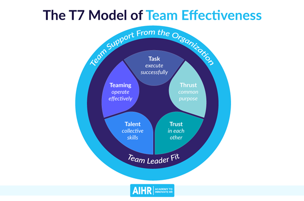 the T7 model of team effectiveness